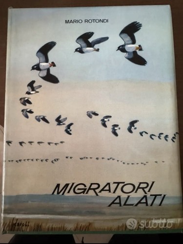 Mario rotondi migratori alati - mario,