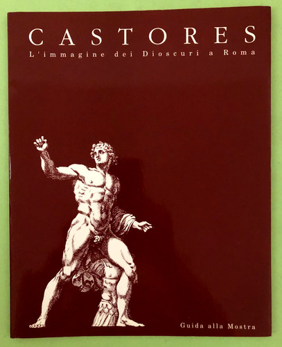 Castores immagine dei - castores, l'immagine